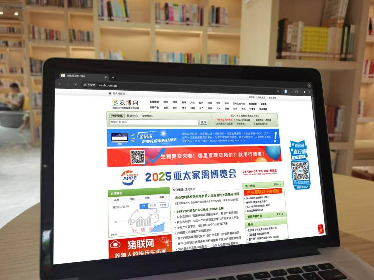 手工羽毛扇網(wǎng)站如何憑借傳統(tǒng)工藝傳承擴(kuò)大流量？同行都是怎么做的？