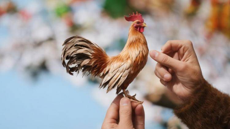 手工羽毛扇網(wǎng)站如何憑借傳統(tǒng)工藝傳承擴大流量？同行都是怎么做的？