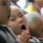 手工羽毛扇網(wǎng)站如何憑借傳統(tǒng)工藝傳承擴(kuò)大流量？同行都是怎么做的？